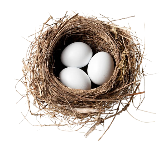 Pure Nest Logo